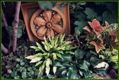 Landscape Design & Services